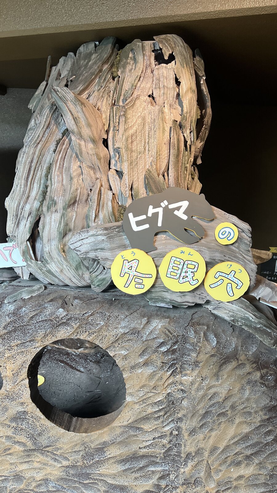 館內以中空樹幹重現的「棕熊的冬眠穴」，樹幹上開了一個洞，手寫的標題牌標了假名。