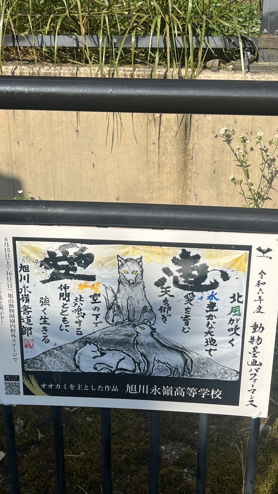 旭川永嶺高中書道部的水墨作品海報，畫的是兩隻狼，題有書法字句，於園內戶外舞台展出。