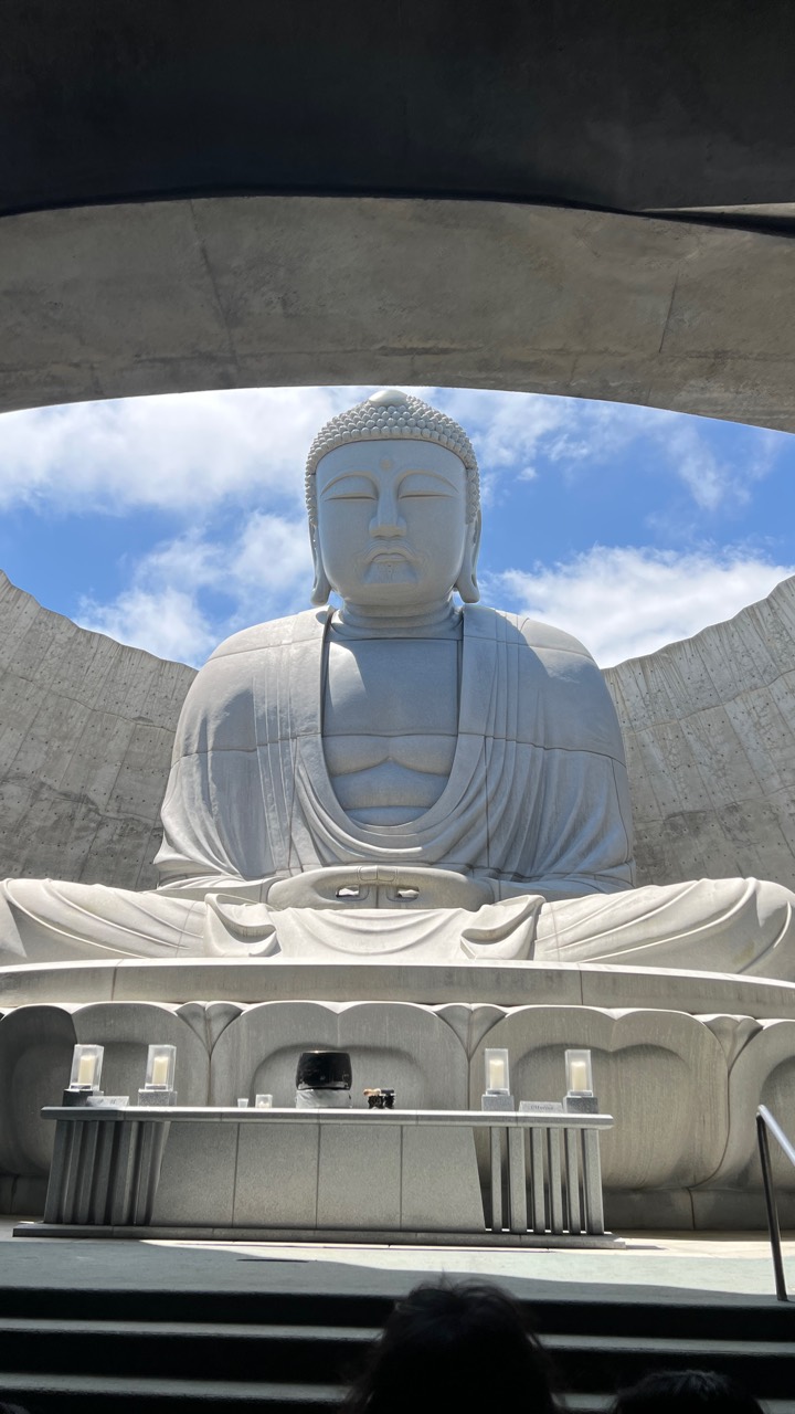 頭大佛內側仰望實拍，呈現從入口走進佛像前的視線轉換。