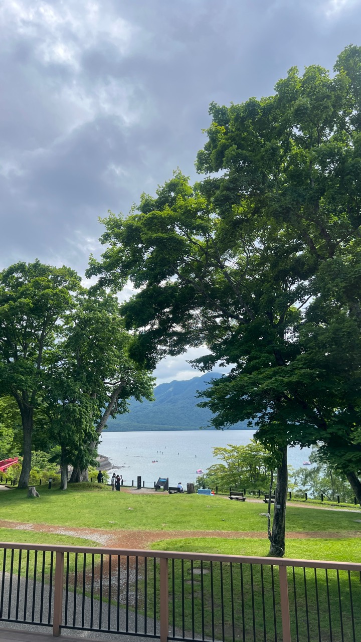 支笏湖湖畔樹影與湖面實拍，呈現札幌近郊午後的安靜停留。