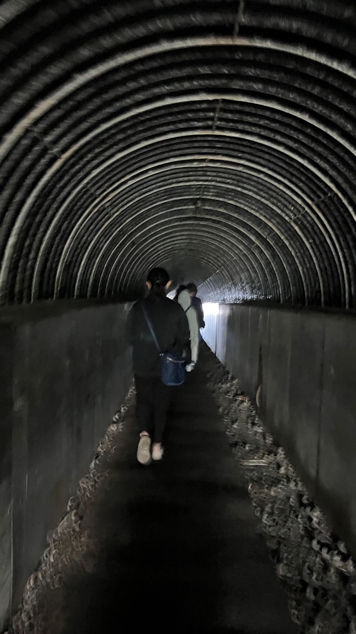 島武意海岸隧道步行實拍，呈現抵達海岸前的暗場轉換。