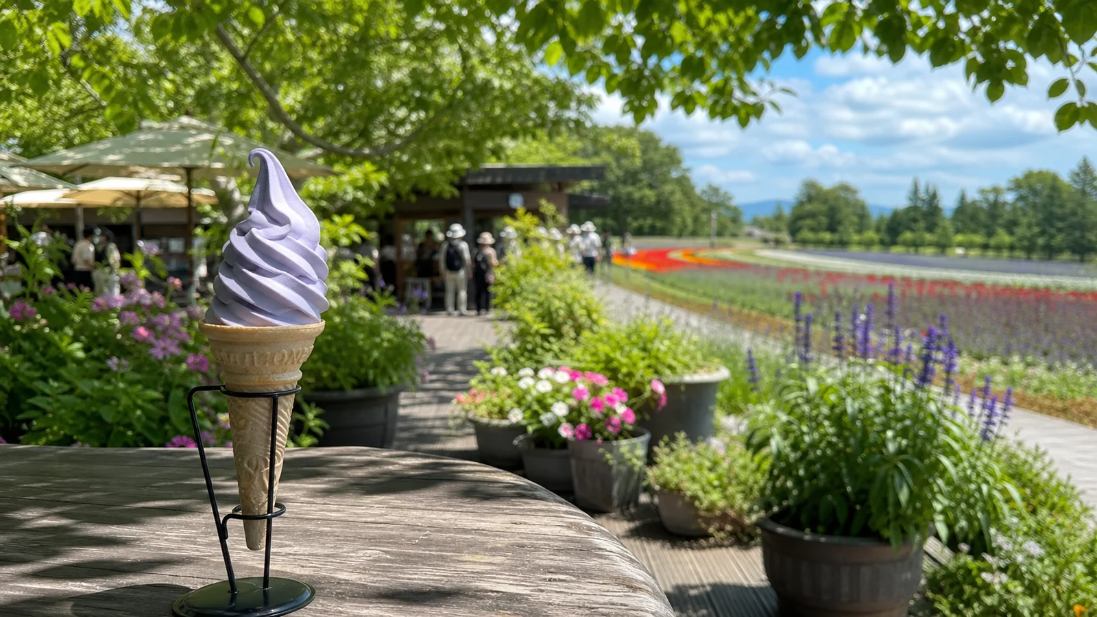依實拍校準的富田農場薰衣草霜淇淋與 Café 花園停頓生成式編輯示意圖